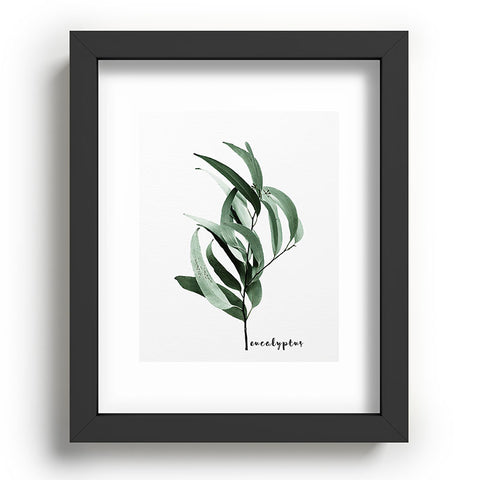 Gale Switzer Eucalyptus Australian gum tree Recessed Framing Rectangle