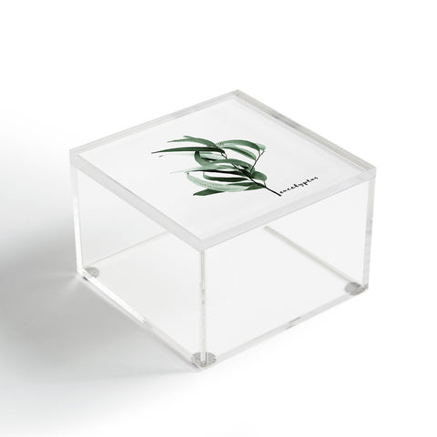 Gale Switzer Eucalyptus Australian gum tree Acrylic Box