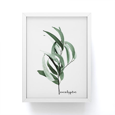 Gale Switzer Eucalyptus Australian gum tree Framed Mini Art Print