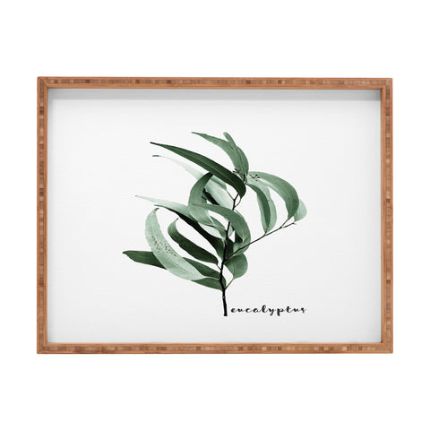 Gale Switzer Eucalyptus Australian gum tree Rectangular Tray