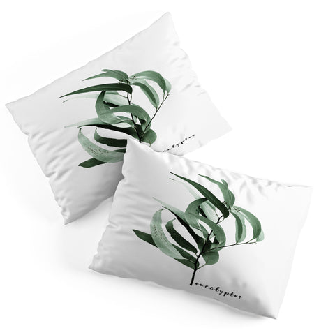 Gale Switzer Eucalyptus Australian gum tree Pillow Shams