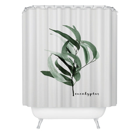 Gale Switzer Eucalyptus Australian gum tree Shower Curtain
