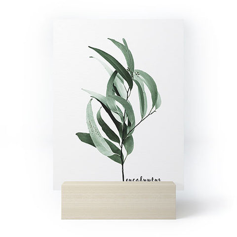 Gale Switzer Eucalyptus Australian gum tree Mini Art Print