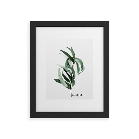 Gale Switzer Eucalyptus Australian gum tree Framed Art Print