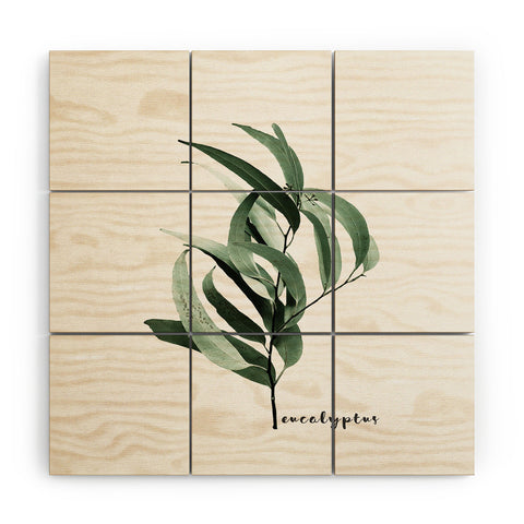 Gale Switzer Eucalyptus Australian gum tree Wood Wall Mural