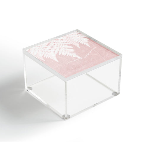 Gale Switzer Fern Fringe pink concrete Acrylic Box