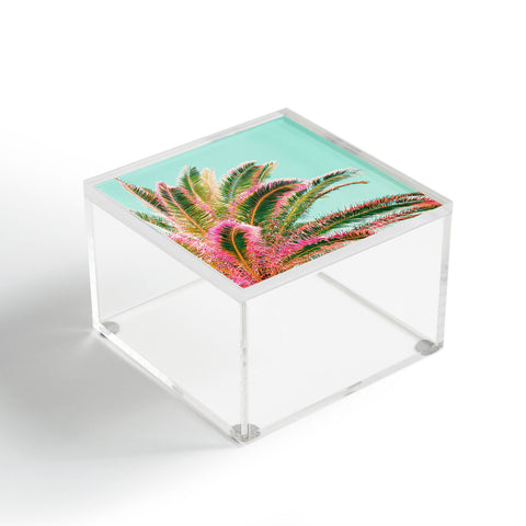 Gale Switzer Fiesta Palms Acrylic Box