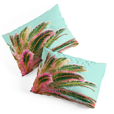 Gale Switzer Fiesta Palms Pillow Shams