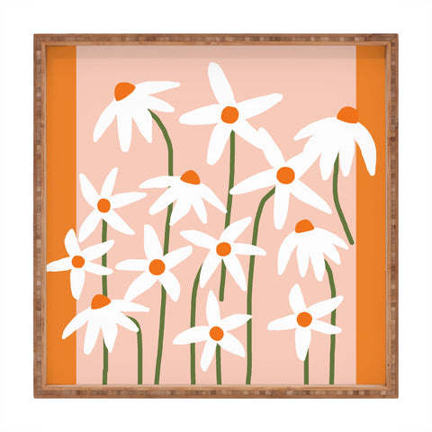 Gale Switzer Flower Market Echinacea 1 Square Tray