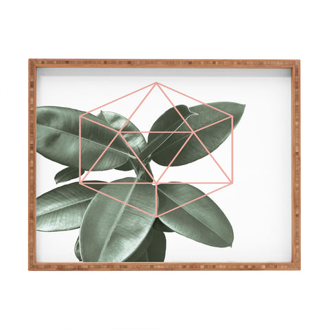 Gale Switzer Geometric Greenery Rectangular Tray