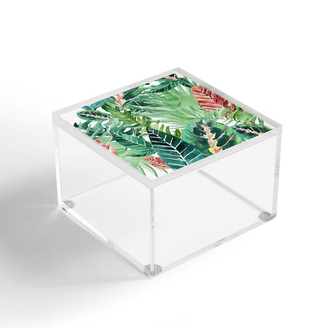 Gale Switzer Havana jungle Acrylic Box