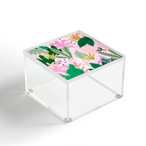 Gale Switzer Into the jungle sunup Acrylic Box