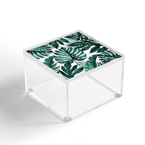 Gale Switzer Jungle collective Acrylic Box