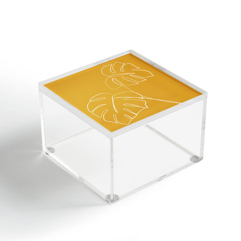 Gale Switzer Monstera minimal yellow Acrylic Box