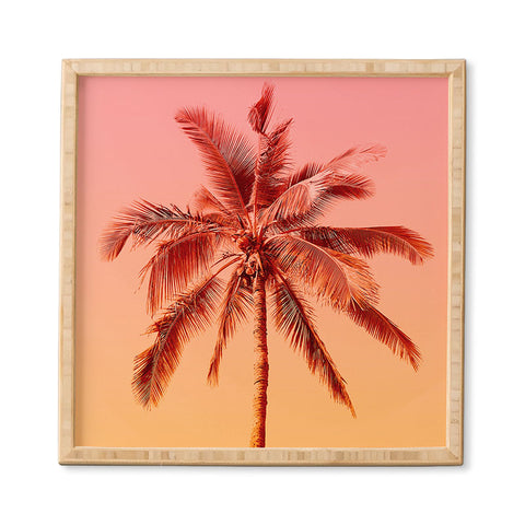 Gale Switzer Palm beach I Framed Wall Art