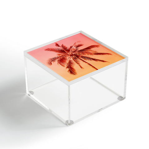 Gale Switzer Palm beach I Acrylic Box
