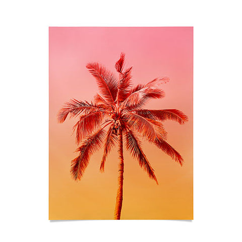 Gale Switzer Palm beach I Poster
