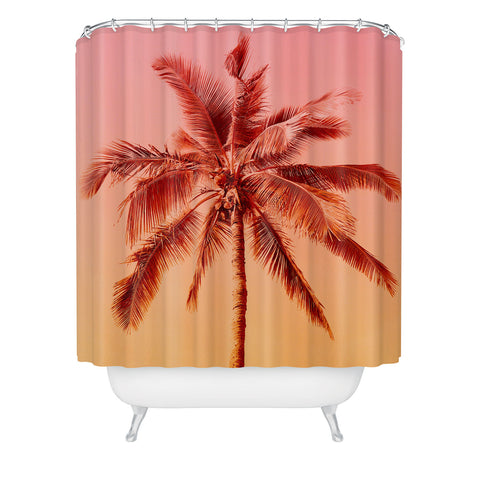 Gale Switzer Palm beach I Shower Curtain