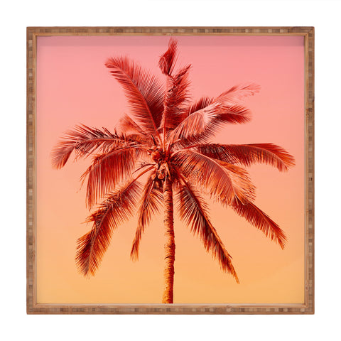 Gale Switzer Palm beach I Square Tray