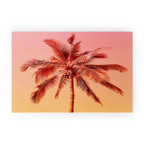 Gale Switzer Palm beach I Welcome Mat