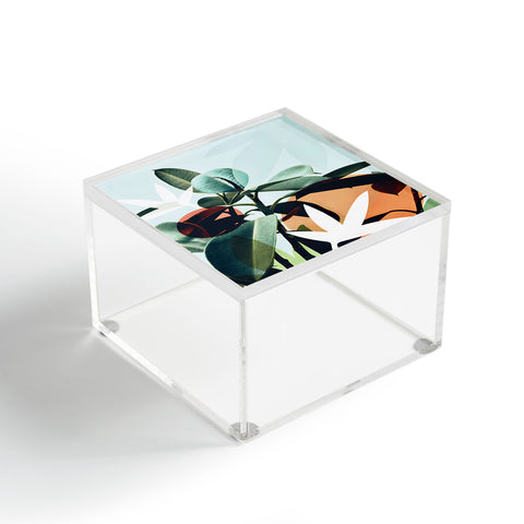 Gale Switzer Simpatico Acrylic Box