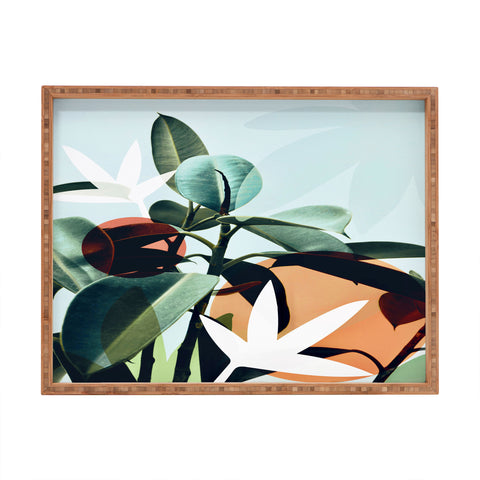 Gale Switzer Simpatico Rectangular Tray