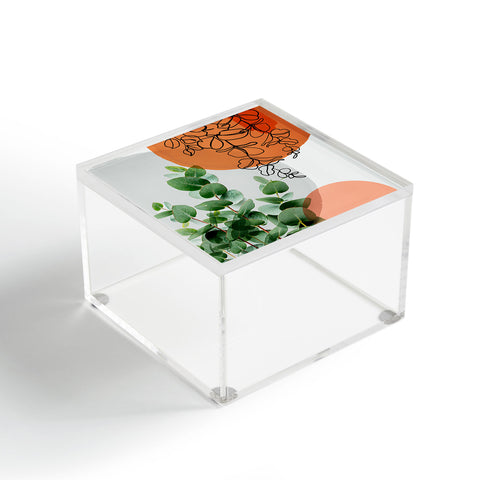 Gale Switzer Simpatico V4 Acrylic Box