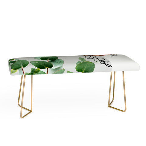 Gale Switzer Simpatico V4 Bench