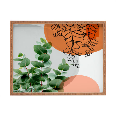 Gale Switzer Simpatico V4 Rectangular Tray