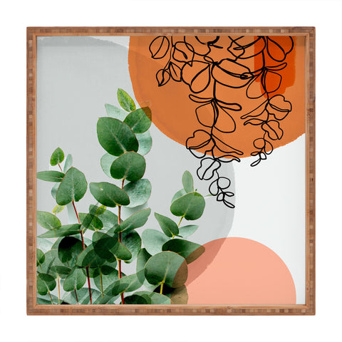 Gale Switzer Simpatico V4 Square Tray