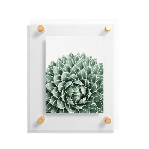Gale Switzer Succulent splendour Floating Acrylic Print