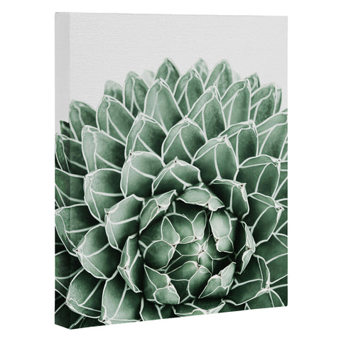 Gale Switzer Succulent splendour Art Canvas