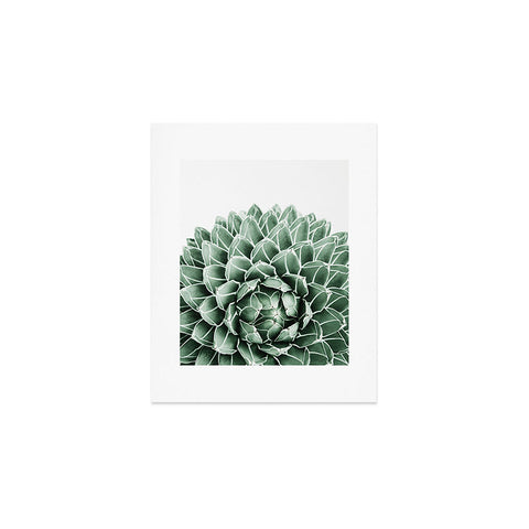 Gale Switzer Succulent splendour Art Print
