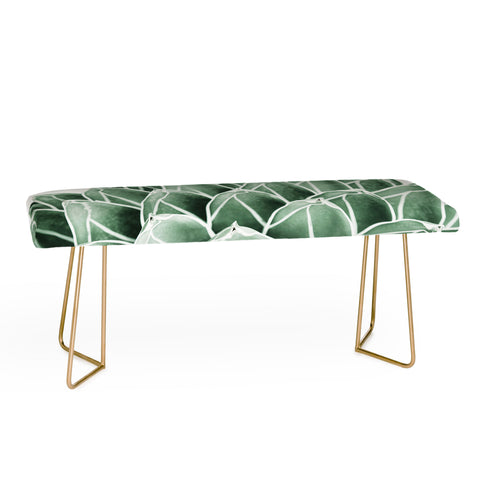 Gale Switzer Succulent splendour Bench