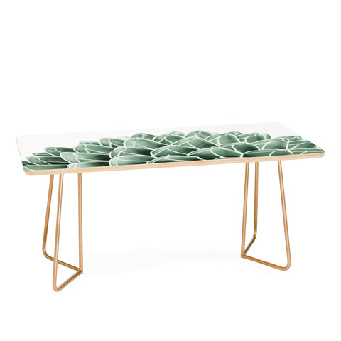 Gale Switzer Succulent splendour Coffee Table
