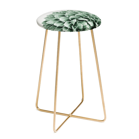 Gale Switzer Succulent splendour Counter Stool