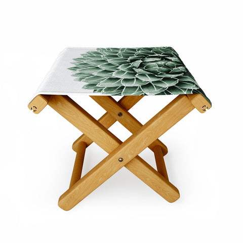 Gale Switzer Succulent splendour Folding Stool