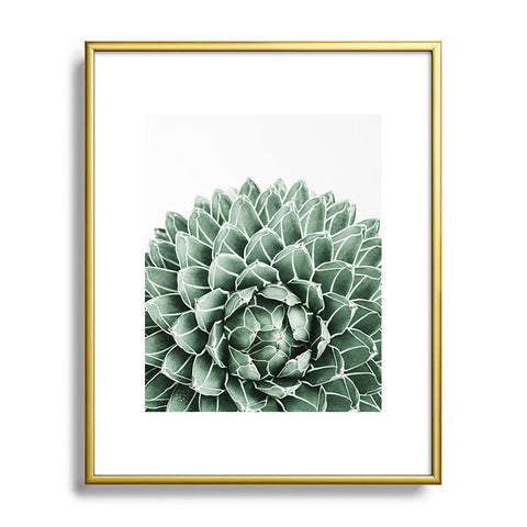Gale Switzer Succulent splendour Metal Framed Art Print