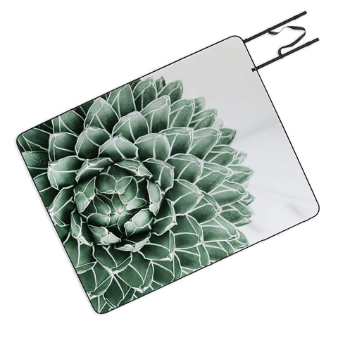 Gale Switzer Succulent splendour Picnic Blanket