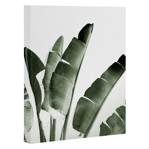Gale Switzer Traveler Palm Art Canvas