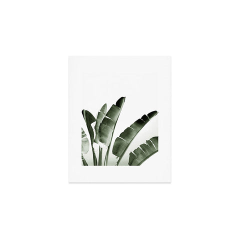 Gale Switzer Traveler Palm Art Print