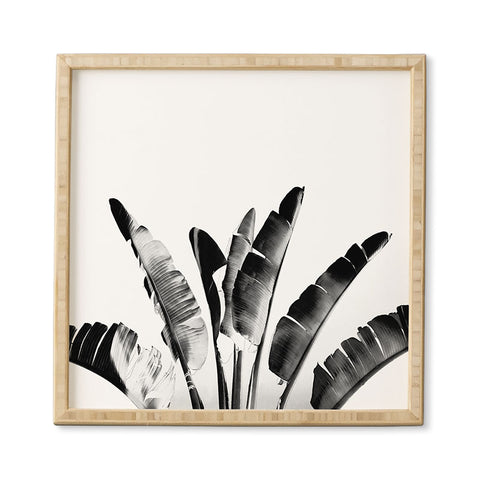 Gale Switzer Traveler Palm bw Framed Wall Art