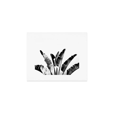 Gale Switzer Traveler Palm bw Art Print