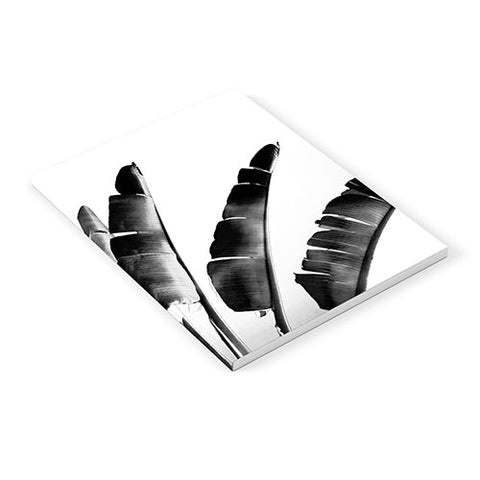 Gale Switzer Traveler Palm bw Notebook