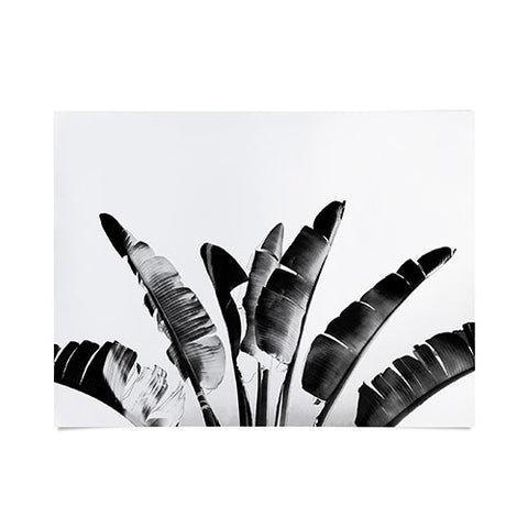 Gale Switzer Traveler Palm bw Poster