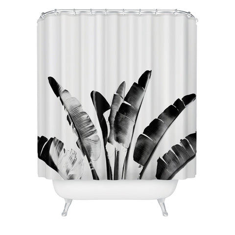 Gale Switzer Traveler Palm bw Shower Curtain