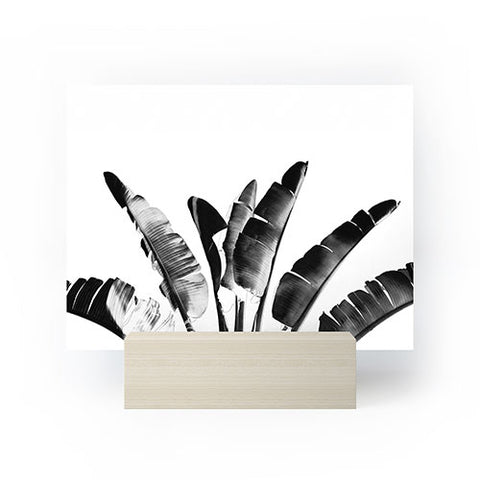 Gale Switzer Traveler Palm bw Mini Art Print