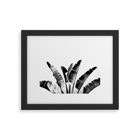 Gale Switzer Traveler Palm bw Framed Art Print