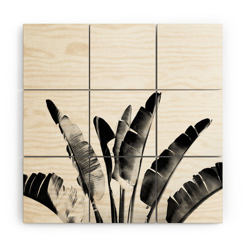 Gale Switzer Traveler Palm bw Wood Wall Mural