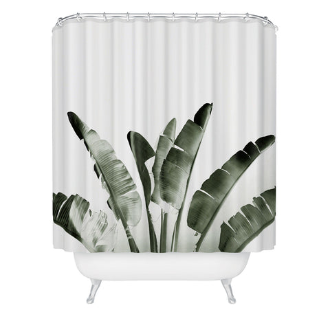 Gale Switzer Traveler Palm Shower Curtain